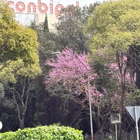 San Paolo Luxury Apartment *
